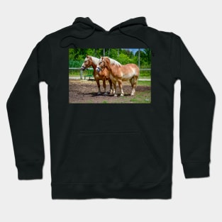 "Equine Duo" Hoodie